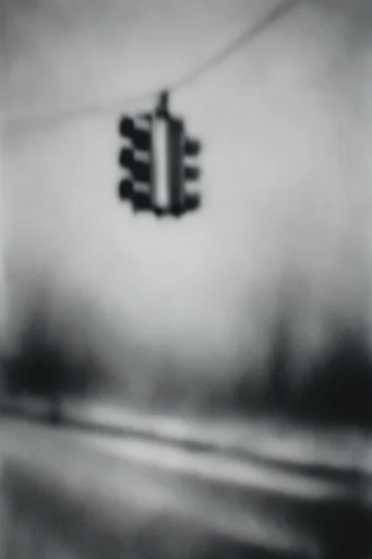 Haunted Pictorialist Archive style reference image — high contrast grain