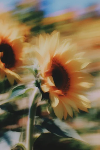 Kinetic Sun-Drenched Motion style reference image — saturated primary colors