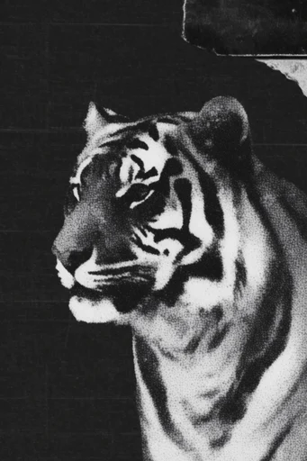 Gritty Halftone Zinecore style AI image example 3