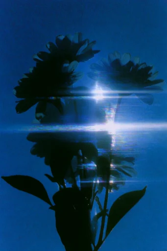 Ethereal Nocturnal Luminescence style reference image — soft-focus lens flare
