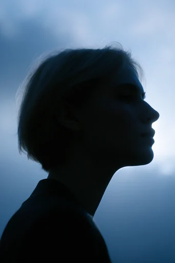 Cinematic Nocturnal Silhouette moodboard — generate AI images in this style