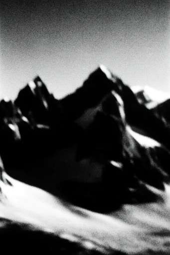 Gritty Monochrome Analog style reference image — high-contrast black and white