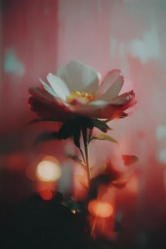 Cinematic Nocturnal Reflections style reference image — teal and orange grading