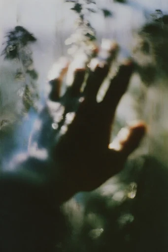 Ethereal Pictorialist Haze style reference image — dreamlike bokeh