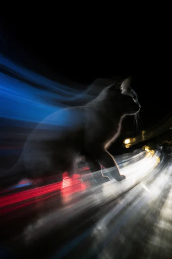 Kinetic Noir Nocturne style reference image — high contrast chiaroscuro