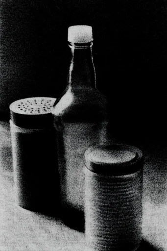 Gritty Monochromatic Noir style reference image — stippled texture