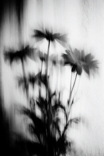 Ethereal Monochrome Motion style reference image — painterly texture