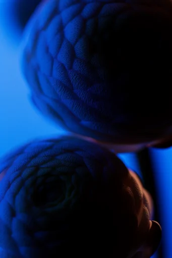 Cobalt Chiaroscuro Minimalism style reference image — cinematic shadow play