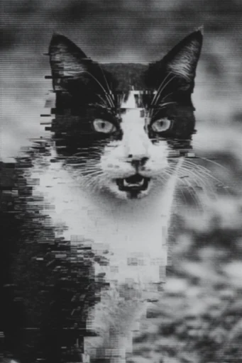 Monochrome Glitch Noir style reference image — liminal surveillance aesthetic