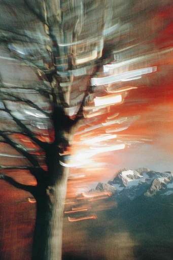 Nocturnal Cinematic Blur style reference image — analog film grain