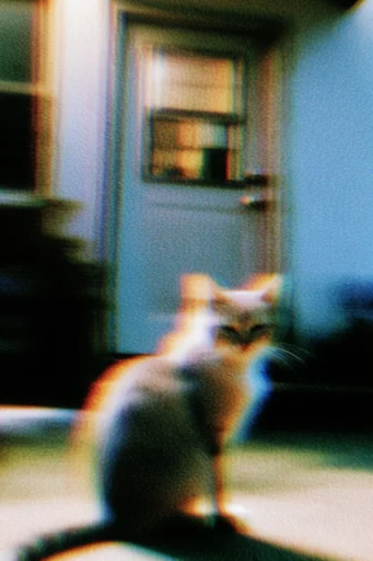 Luminous Analog Glitch style reference image — digital glitch