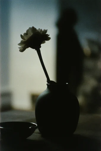 Cinematic Analog Isolation style reference image — cinematic desaturated palette