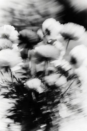 Spectral Kinetic Noir style reference image — gritty analog texture