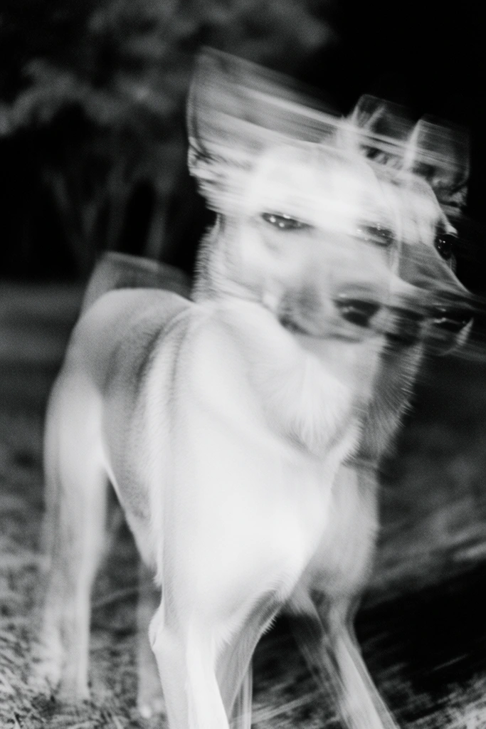 Spectral Noir Motion style AI image example 3