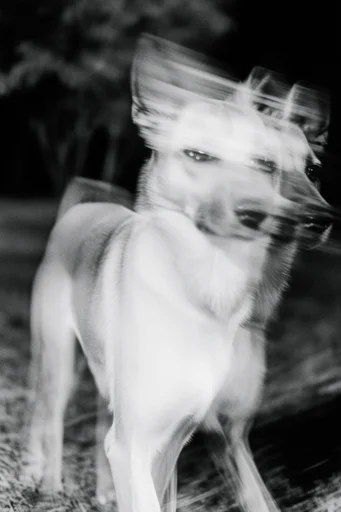 Spectral Noir Motion style AI image example 3