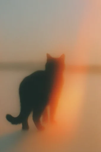 Ethereal Twilight Nostalgia style reference image — warm light leak