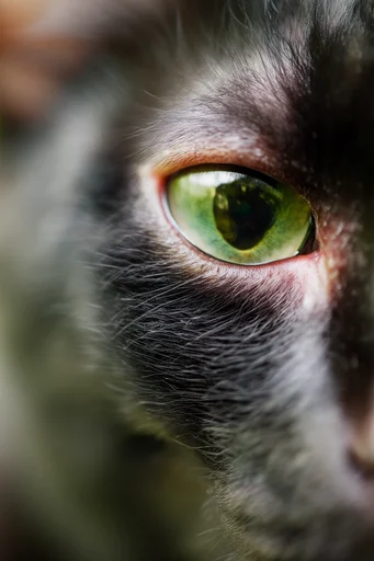 Cinematic Nocturnal Portraits style AI image example 3