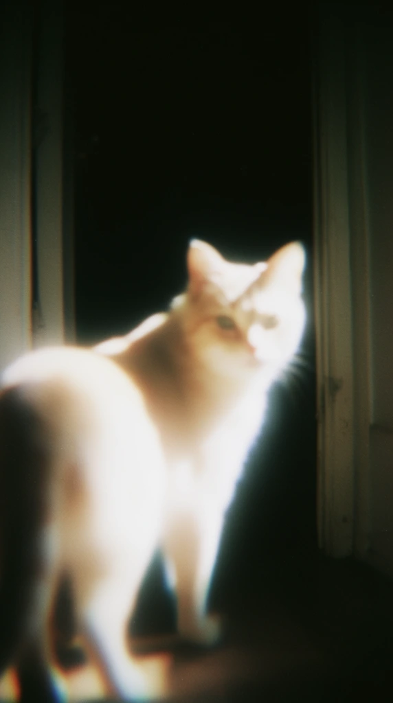 A softly blurred, luminous cat stands in a doorway looking back over its shoulder, captured in a high-contrast, vintage analog film aesthetic with extreme ethereal bloom. The feline's form is bathed in a brilliant, overexposed, creamy white light that bleeds heavily into the surrounding shadows, creating a distinct halation effect radiating from its silhouette. The animal's face, turned backward toward the viewer, catches the intense, direct illumination, causing its physical features to soften into glowing, diffuse shapes with hazy edges. The structural lines of the doorway frame emerge faintly from a pitch-black background, anchoring the composition before dissolving entirely into the deep, stark void. Heavy optical diffusion, pronounced coarse film grain, and slight motion blur distort the focal points, while subtle chromatic aberration fringes the harsh transition between the blown-out warm highlights and the profound black environment, resulting in a highly atmospheric, low-key cinematic rendering.