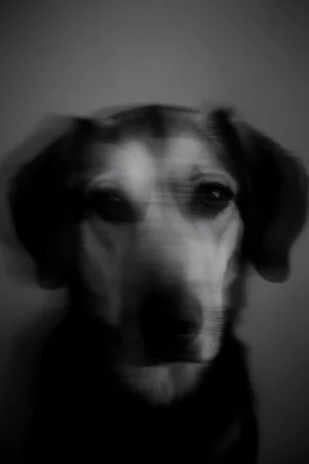 Kinetic Spectral Noir style reference image — pitch-black background