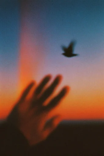 Nostalgic Analog Surrealism style reference image — minimalist silhouette