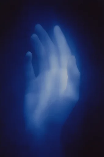 Ethereal Nocturnal Noir style reference image — nocturnal indigo palette