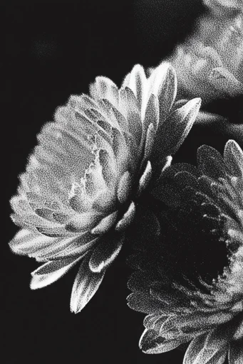Monochrome Glitch Noir style reference image — cinematic noir lighting