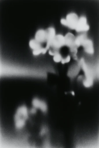 Ethereal Noir Grain style reference image — stippled halftone texture