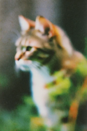 Kinetic Dreamcore Analog style reference image — long exposure light streaks