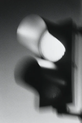 Spectral Noir Impressionism style reference image — high-contrast monochrome