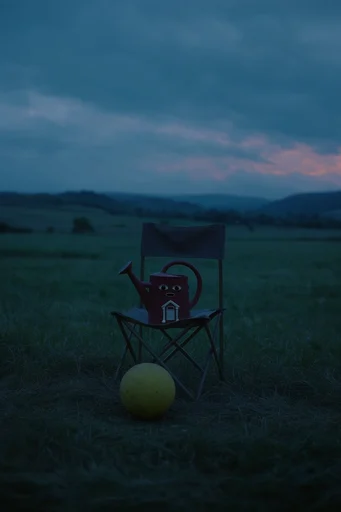 Cinematic Twilight Melancholia style reference image — moody blue undertones