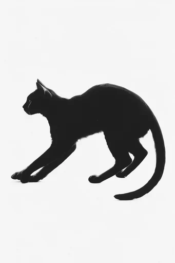 Minimalist Surreal Noir Collage style reference image — uncanny juxtaposition