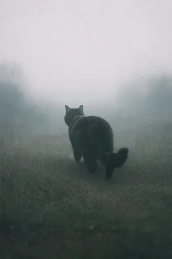Atmospheric Cyan Solitude style reference image — eerie silence