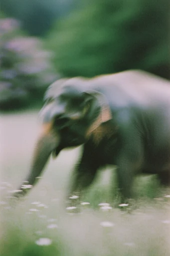 Ethereal Blurred Impressionism style AI image example 3