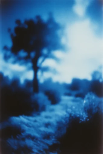 Ethereal Nocturnal Cyanotype style reference image — monochromatic film photography
