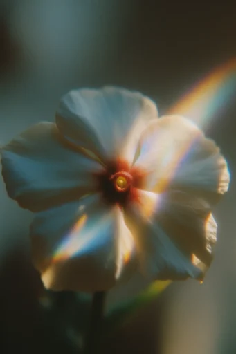 Cinematic Golden Chiaroscuro style reference image — dramatic shadow play