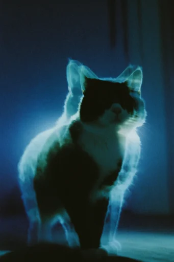 Spectral Cyan Nocturne style reference image — mysterious nocturnal atmosphere