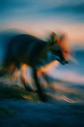 Kinetic Nocturnal Impressionism style reference image — twilight blue and amber palette