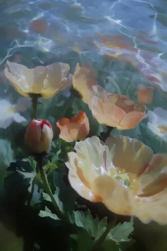 Ethereal Submerged Expressionism style reference image — dreamlike ethereal atmosphere