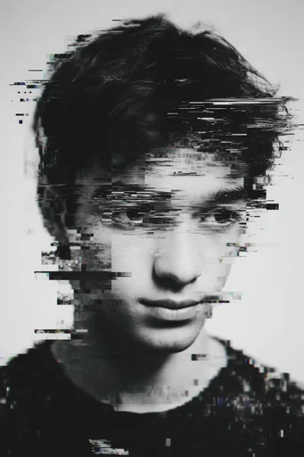 Disintegrated Monochrome Glitch style reference image — halftone xerox texture