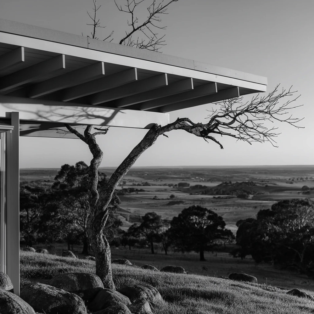 A black and white photograph captures a striking juxtaposition between man-made architecture and nature. In the foreground, a prominent, flat, overhanging roof structure, supported by exposed horizontal beams, extends outwards. Beneath the eaves, a gnarled, leafless tree stands, its bare branches reaching out, with one prominent branch seemingly growing right into or alongside the structural beams of the roof. The roof casts sharp, distinct shadows on the underside of its beams. The tree is situated on a grassy slope, with large, rounded rocks scattered near its base. Beyond this immediate scene, a vast, expansive landscape stretches out, featuring rolling hills, fields, and scattered clusters of darker, fuller trees, receding towards a distant, flat horizon line under a clear, unblemished sky. The lighting suggests early morning or late afternoon, creating strong contrasts and deep shadows, emphasizing the textures of the rough tree bark and the smooth, geometric lines of the building.