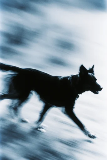 Spectral Motion Noir style reference image — long exposure