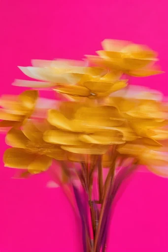 Kinetic Neon Distortion style reference image — tactile texture overlays
