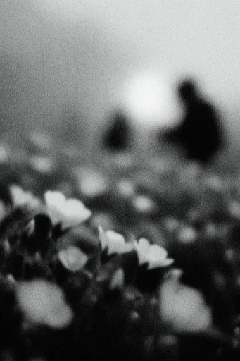 Cinematic Monochrome Noir style reference image — spectral motion blur