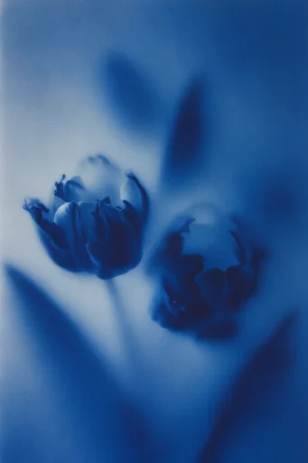 Monochromatic Ethereal Blur style reference image — dreamlike diffusion