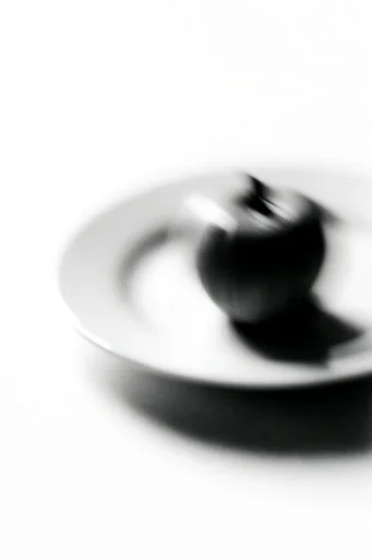 Ethereal Monochrome Motion style reference image — high-contrast black and white