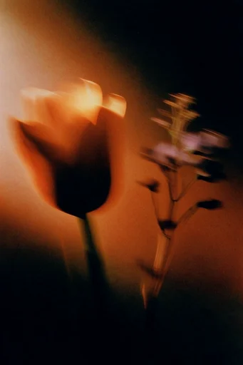 Analog Thermal Noir style reference image — cinematic light leaks