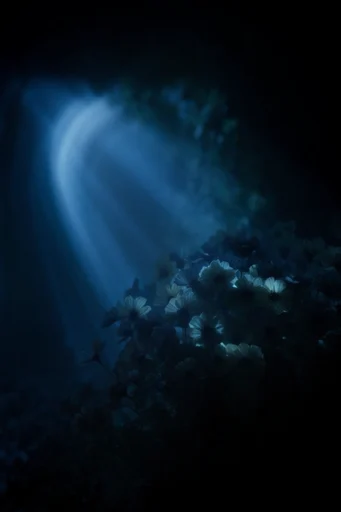 Cinematic Abyssal Minimalism style reference image — solitary subject in vast space