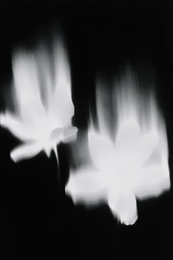 Spectral Noir Motion style reference image — liminal atmosphere