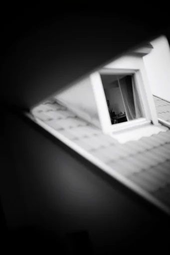 Cinematic Chiaroscuro Noir style AI image example 4
