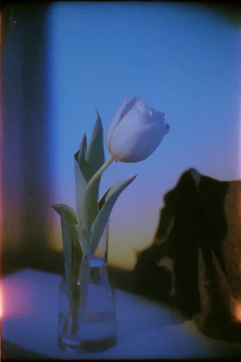 Nocturnal Liminal Analog style reference image — nocturnal liminal space
